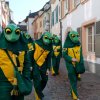 25_10_rheinfeldenfas13